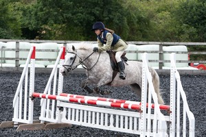 Class 6 - Fences not above 2'9